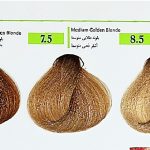 رنگ سوبارو سری طلایی