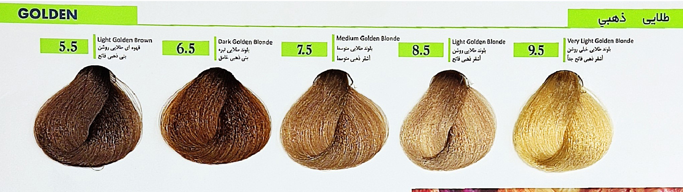 رنگ سوبارو سری طلایی