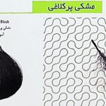 سوبارو سری مشکی پر کلاغی